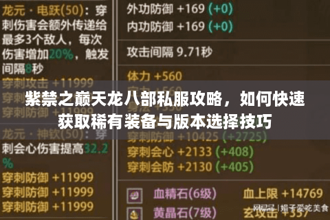 紫禁之巅天龙八部私服攻略，如何快速获取稀有装备与版本选择技巧