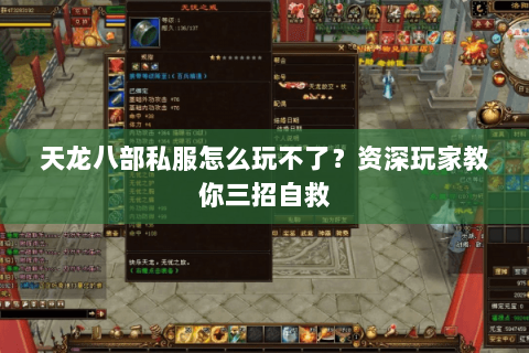 天龙八部私服怎么玩不了？资深玩家教你三招自救