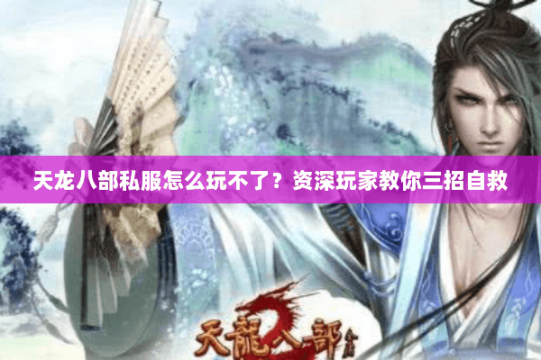 天龙八部私服怎么玩不了？资深玩家教你三招自救