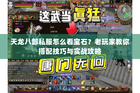 天龙八部私服怎么看宝石？老玩家教你搭配技巧与实战攻略