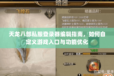天龙八部私服登录器编辑指南，如何自定义游戏入口与功能优化