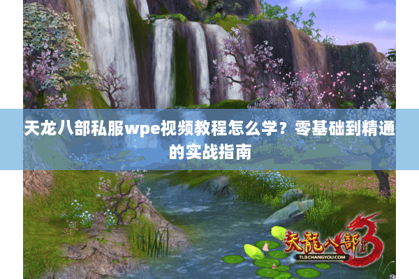 天龙八部私服wpe视频教程怎么学？零基础到精通的实战指南
