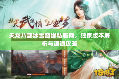 天龙八部冰雪奇缘私服网，独家版本解析与速通攻略