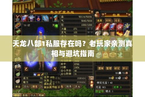 天龙八部1私服存在吗？老玩家亲测真相与避坑指南