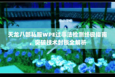天龙八部私服WPE过非法检测终极指南，突破技术封锁全解析