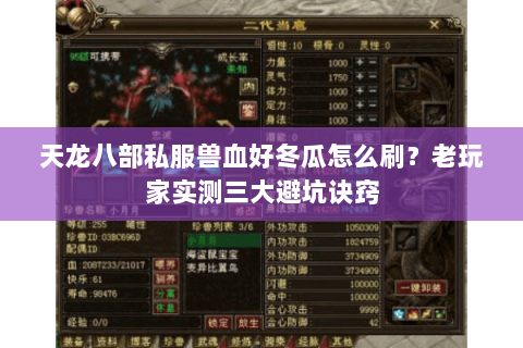 天龙八部私服兽血好冬瓜怎么刷？老玩家实测三大避坑诀窍