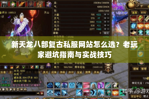 新天龙八部复古私服网站怎么选？老玩家避坑指南与实战技巧
