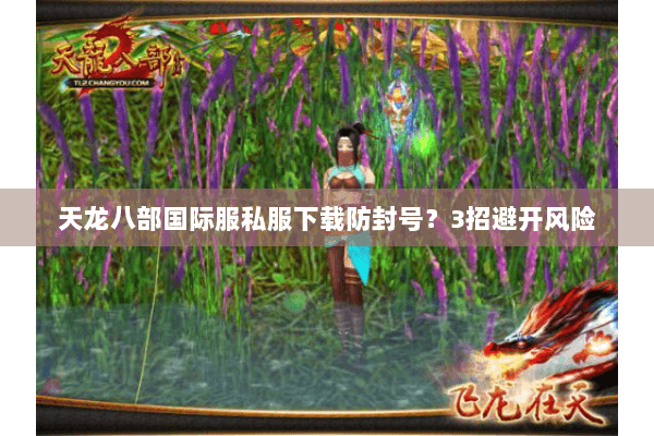 天龙八部国际服私服下载防封号？3招避开风险