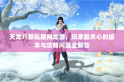 天龙八部私服网龙源，玩家最关心的版本与攻略问题全解答