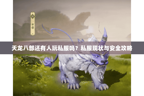 天龙八部还有人玩私服吗？私服现状与安全攻略