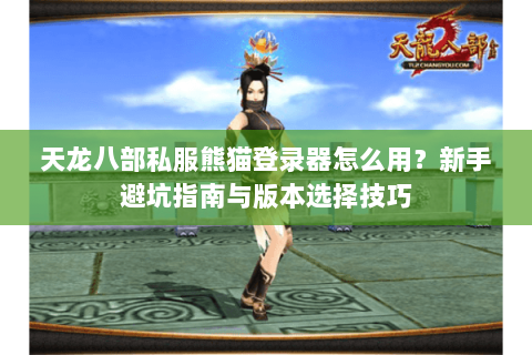 天龙八部私服熊猫登录器怎么用？新手避坑指南与版本选择技巧