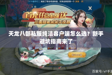 天龙八部私服纯洁客户端怎么选？新手避坑指南来了