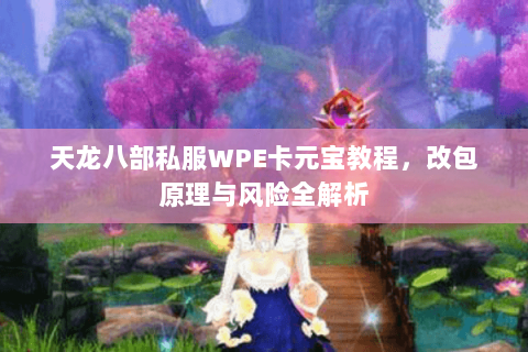 天龙八部私服WPE卡元宝教程，改包原理与风险全解析