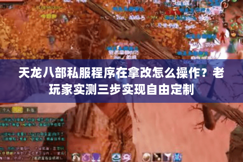 天龙八部私服程序在拿改怎么操作？老玩家实测三步实现自由定制