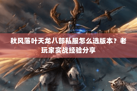 秋风落叶天龙八部私服怎么选版本？老玩家实战经验分享