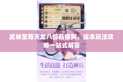 武林至尊天龙八部私服网，版本玩法攻略一站式解答