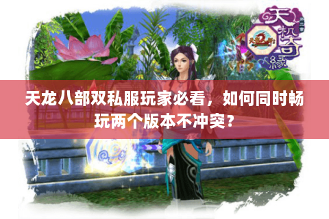天龙八部双私服玩家必看，如何同时畅玩两个版本不冲突？