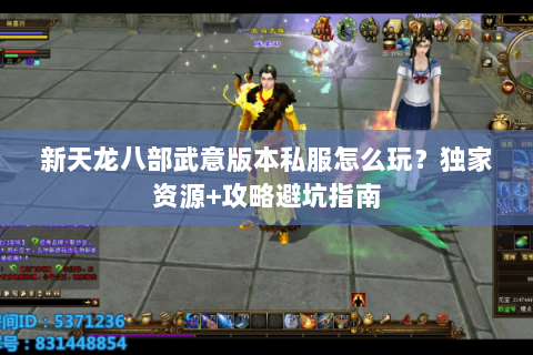 新天龙八部武意版本私服怎么玩？独家资源+攻略避坑指南