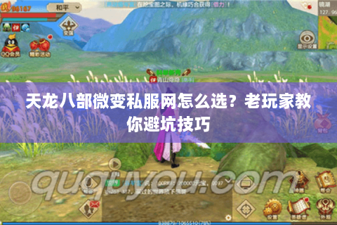 天龙八部微变私服网怎么选？老玩家教你避坑技巧