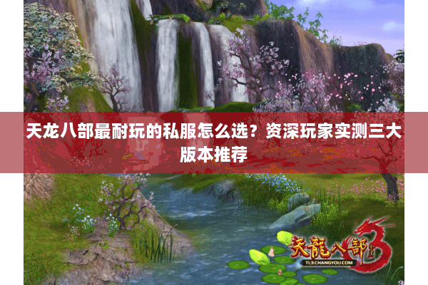 天龙八部最耐玩的私服怎么选？资深玩家实测三大版本推荐