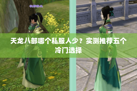 天龙八部哪个私服人少？实测推荐五个冷门选择