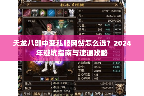 天龙八部中变私服网站怎么选？2024年避坑指南与速通攻略