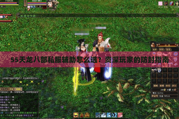 55天龙八部私服辅助怎么选？资深玩家的防封指南