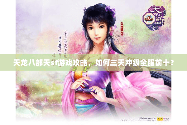 天龙八部天sf游戏攻略，如何三天冲级全服前十？