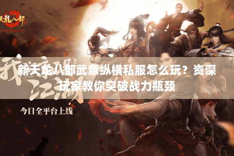 新天龙八部武意纵横私服怎么玩？资深玩家教你突破战力瓶颈