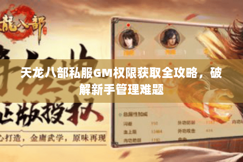 天龙八部私服GM权限获取全攻略，破解新手管理难题