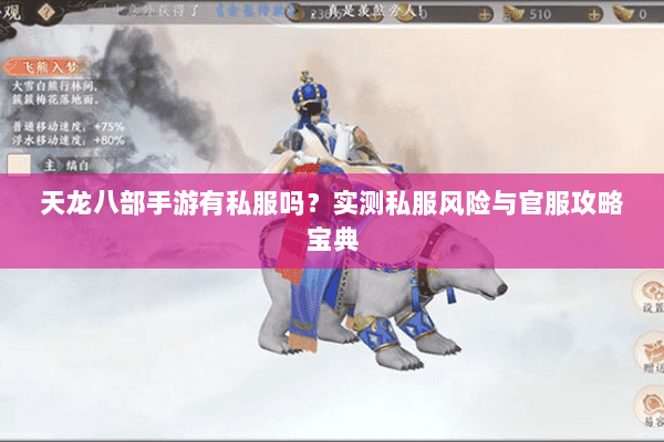 天龙八部手游有私服吗？实测私服风险与官服攻略宝典