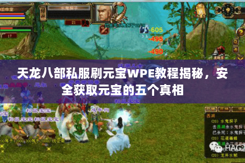 天龙八部私服刷元宝WPE教程揭秘，安全获取元宝的五个真相