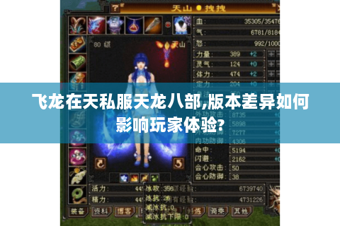 飞龙在天私服天龙八部,版本差异如何影响玩家体验?