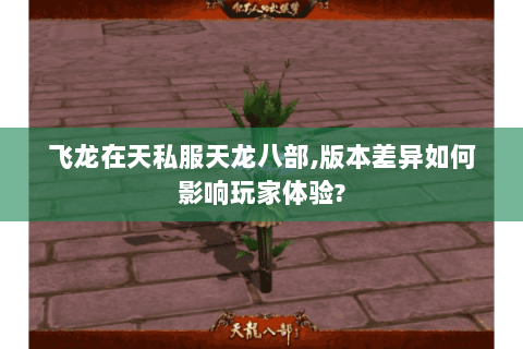 飞龙在天私服天龙八部,版本差异如何影响玩家体验?