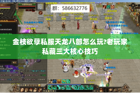 金枝欲孽私服天龙八部怎么玩?老玩家私藏三大核心技巧