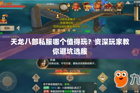 天龙八部私服哪个值得玩？资深玩家教你避坑选服
