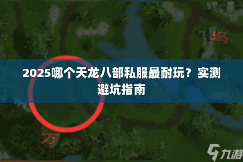 2025哪个天龙八部私服最耐玩？实测避坑指南