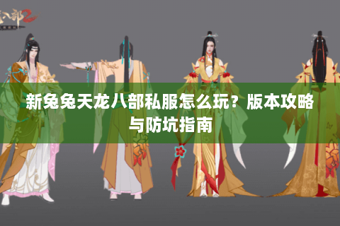 新兔兔天龙八部私服怎么玩？版本攻略与防坑指南