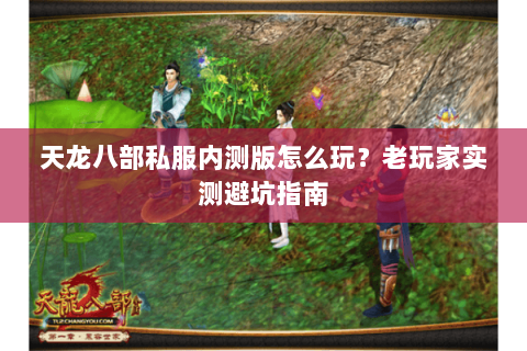 天龙八部私服内测版怎么玩？老玩家实测避坑指南
