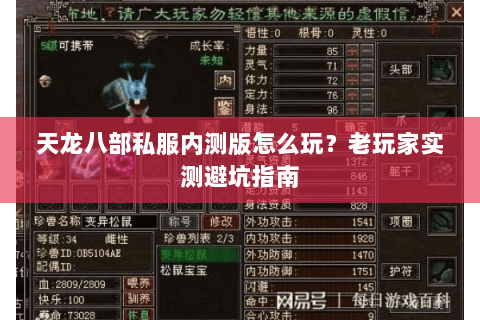 天龙八部私服内测版怎么玩？老玩家实测避坑指南