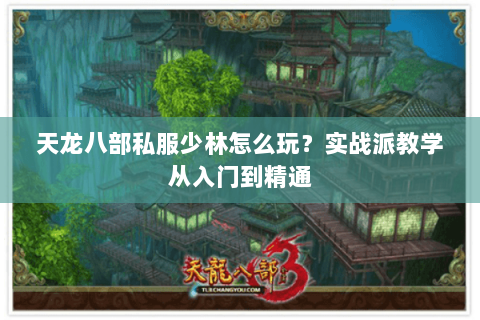 天龙八部私服少林怎么玩？实战派教学从入门到精通