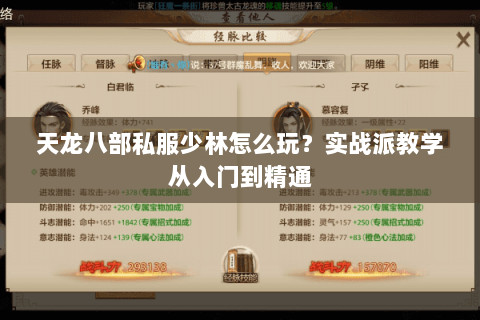 天龙八部私服少林怎么玩？实战派教学从入门到精通