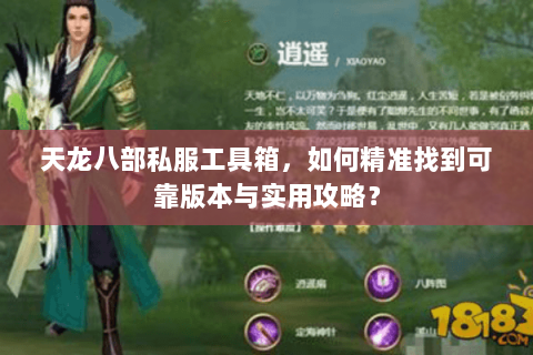 天龙八部私服工具箱，如何精准找到可靠版本与实用攻略？