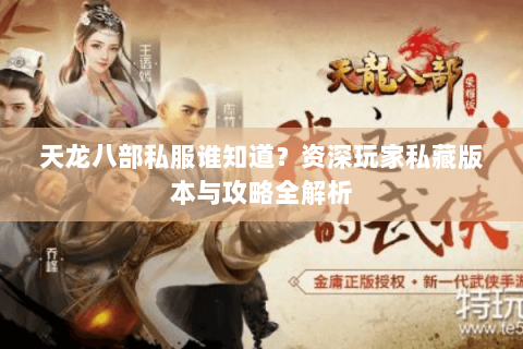 天龙八部私服谁知道？资深玩家私藏版本与攻略全解析