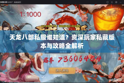 天龙八部私服谁知道？资深玩家私藏版本与攻略全解析