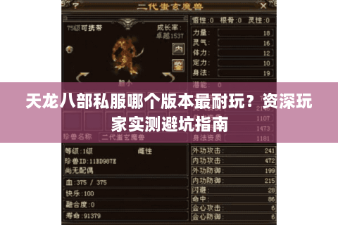 天龙八部私服哪个版本最耐玩？资深玩家实测避坑指南
