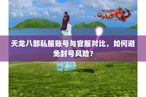 天龙八部私服账号与官服对比，如何避免封号风险？