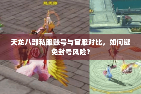 天龙八部私服账号与官服对比，如何避免封号风险？