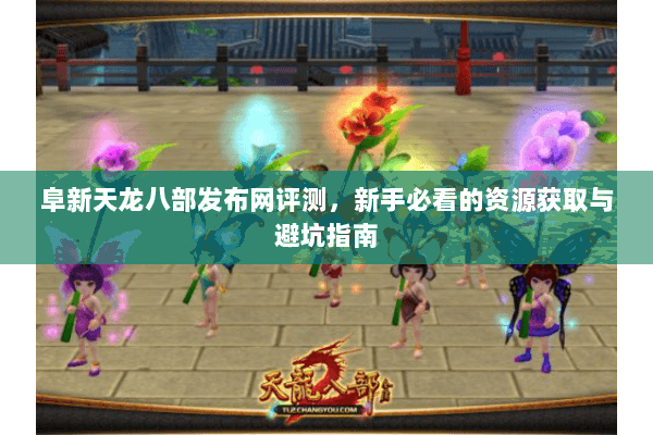 阜新天龙八部发布网评测，新手必看的资源获取与避坑指南