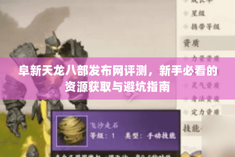 阜新天龙八部发布网评测，新手必看的资源获取与避坑指南